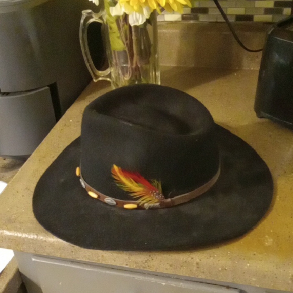 Black Fedora Hat with Feather Accent